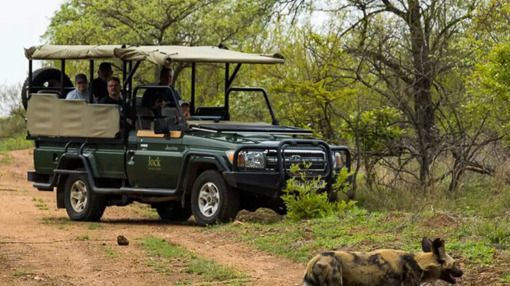 Jock Safari Lodge
